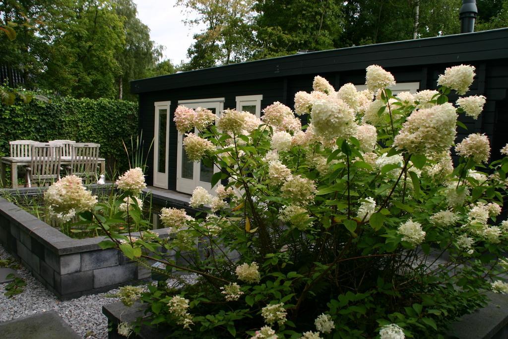 B&B Gaasterland Harich Zimmer foto